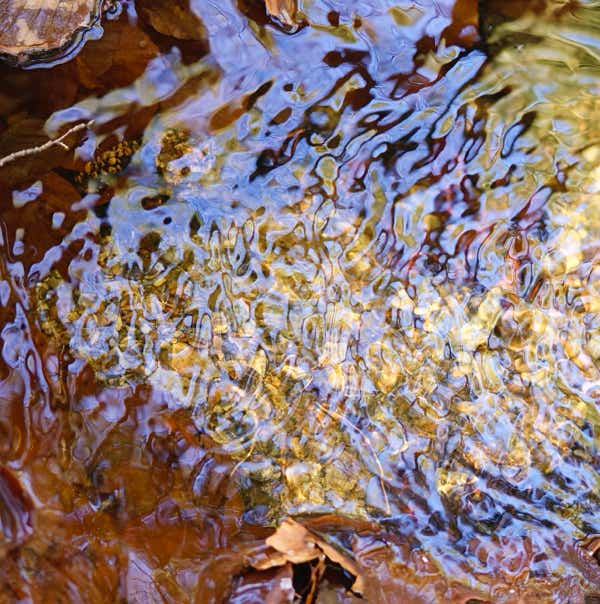 Wasser, Symbol des Lebens Wasser als Sinnbild des Lebens und der Lebensenergie nach Wilhelm Reich